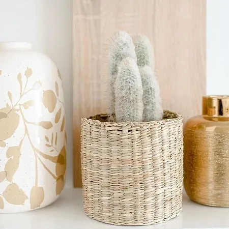 Seashell In Estepina By Interhome דירה *